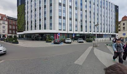 Alvis - wyprowadzanie psów i petsitting