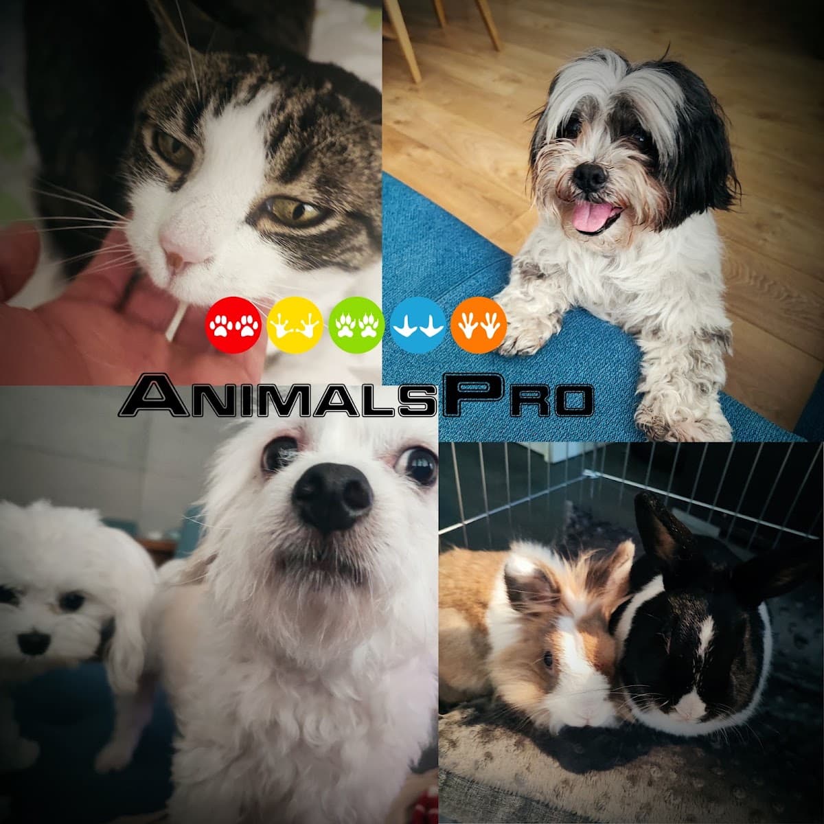 AnimalsPro