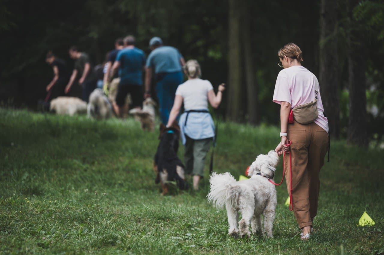 DogTandem - Opieka nad psem, petsitting, dogwalking