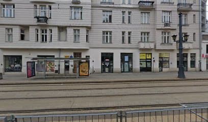 GALERIA CZARNY KOT