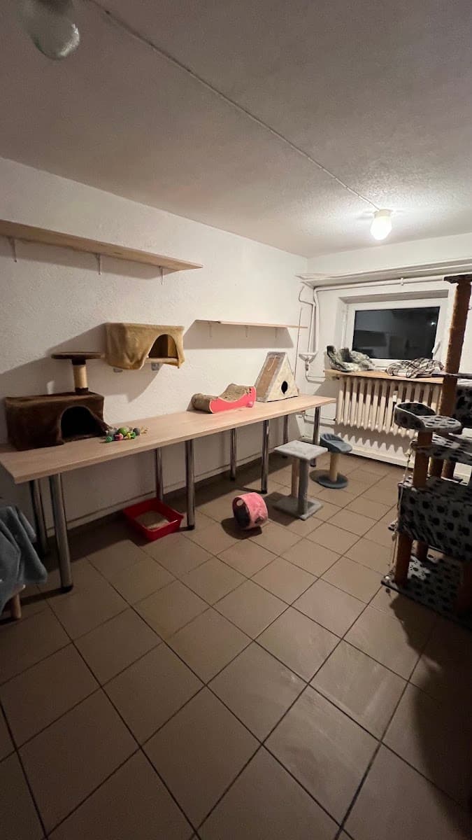 Hotel dla kotów - Kotulisko