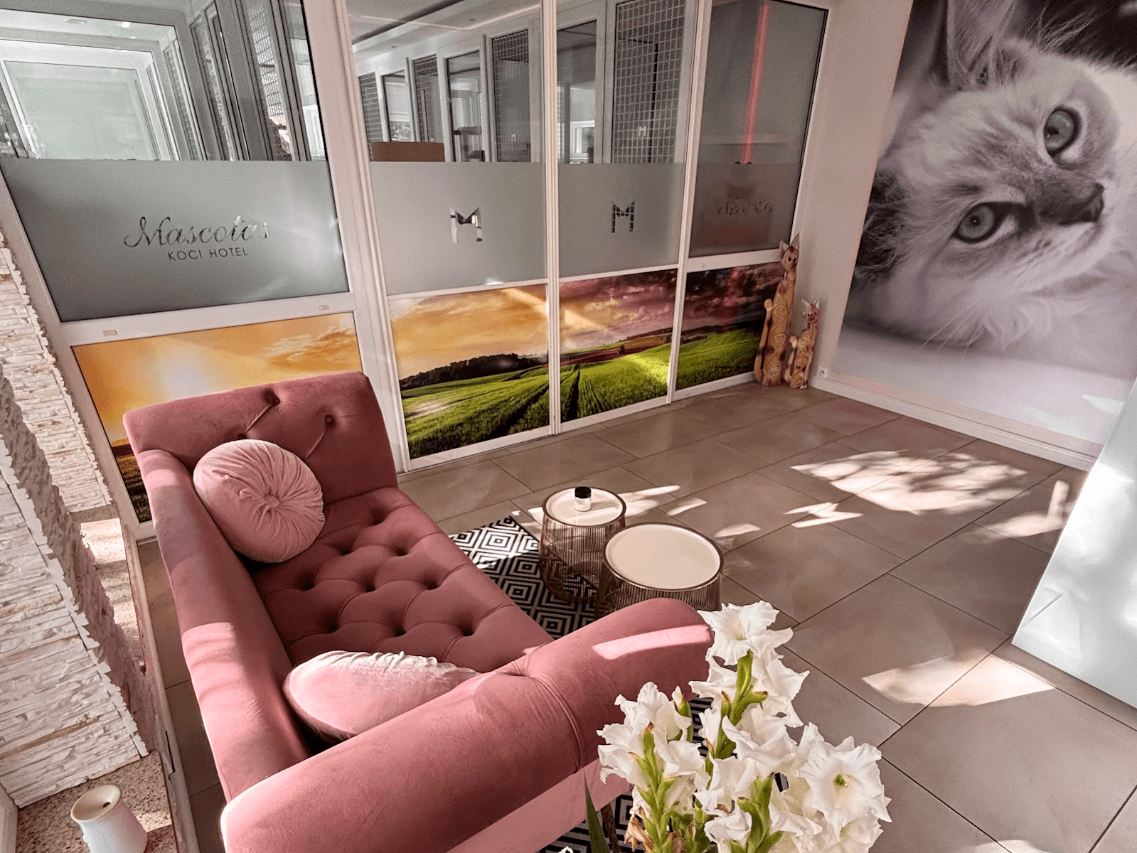 Hotel Dla Kotów MASCOTAS
