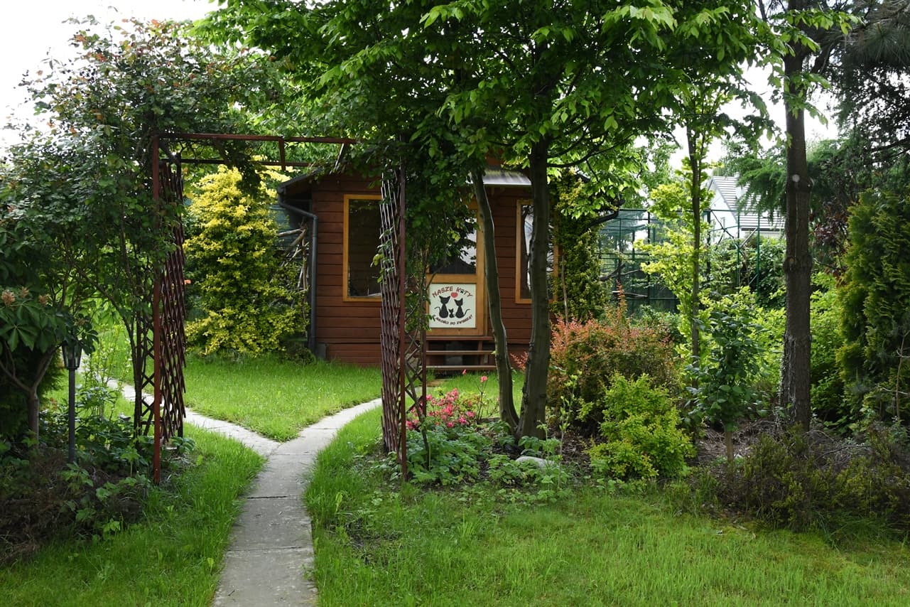 Hotel dla kotów "Nasze Koty" Kraków