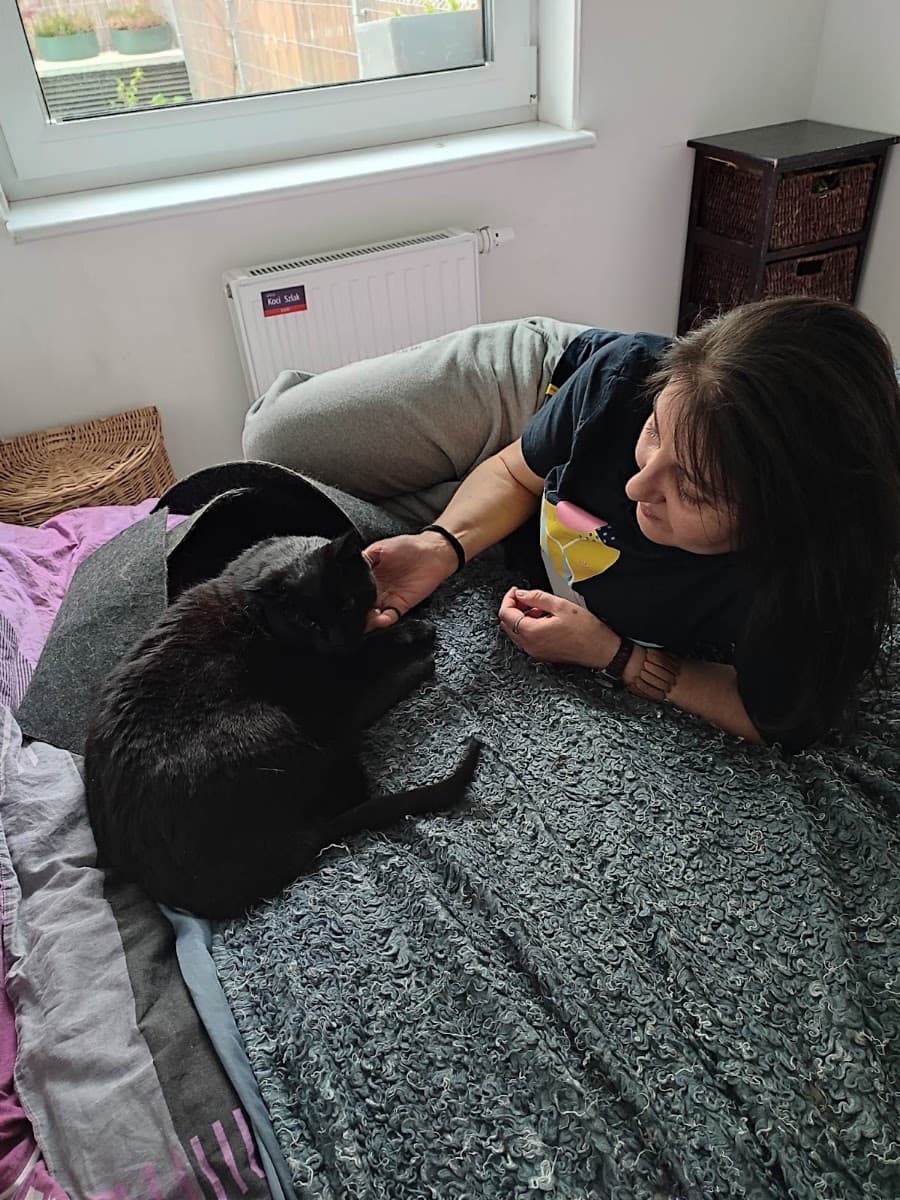 Kociałowo - koci behawiorysta i catsitter