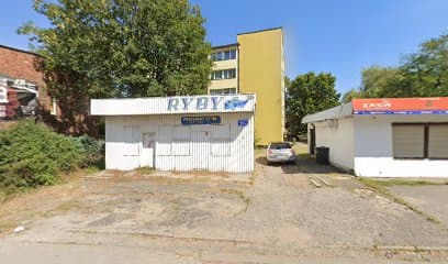 Petsitter, opieka nad zwierzętami, wyprowadzanie psów