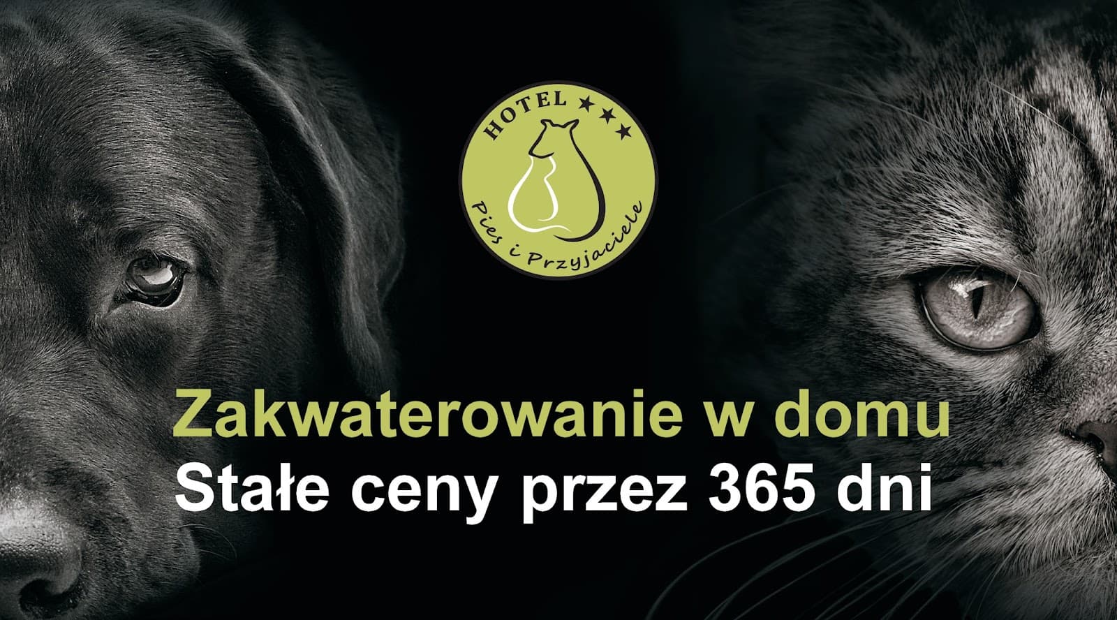 Pies i Przyjaciele