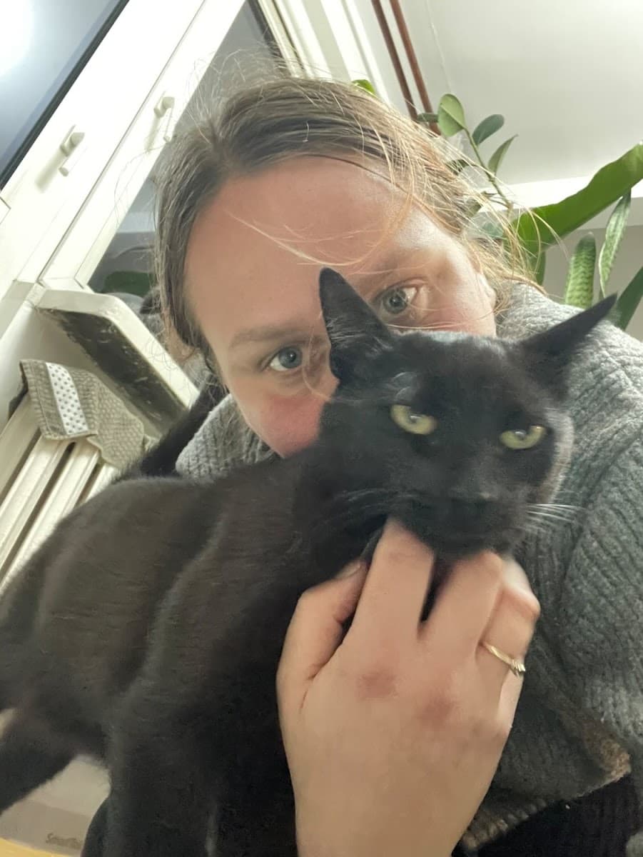 Psi Szpec – behawiorysta, trener psów i petsitter