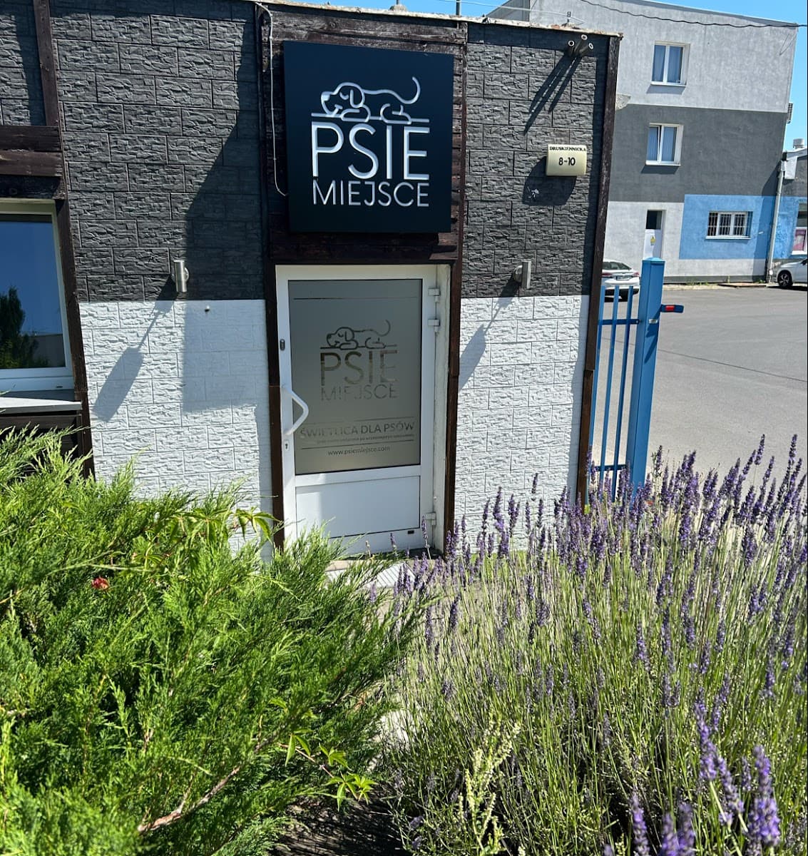 Psie Miejsce - świetlica dla psów, zajęcia indywidualne dla psów