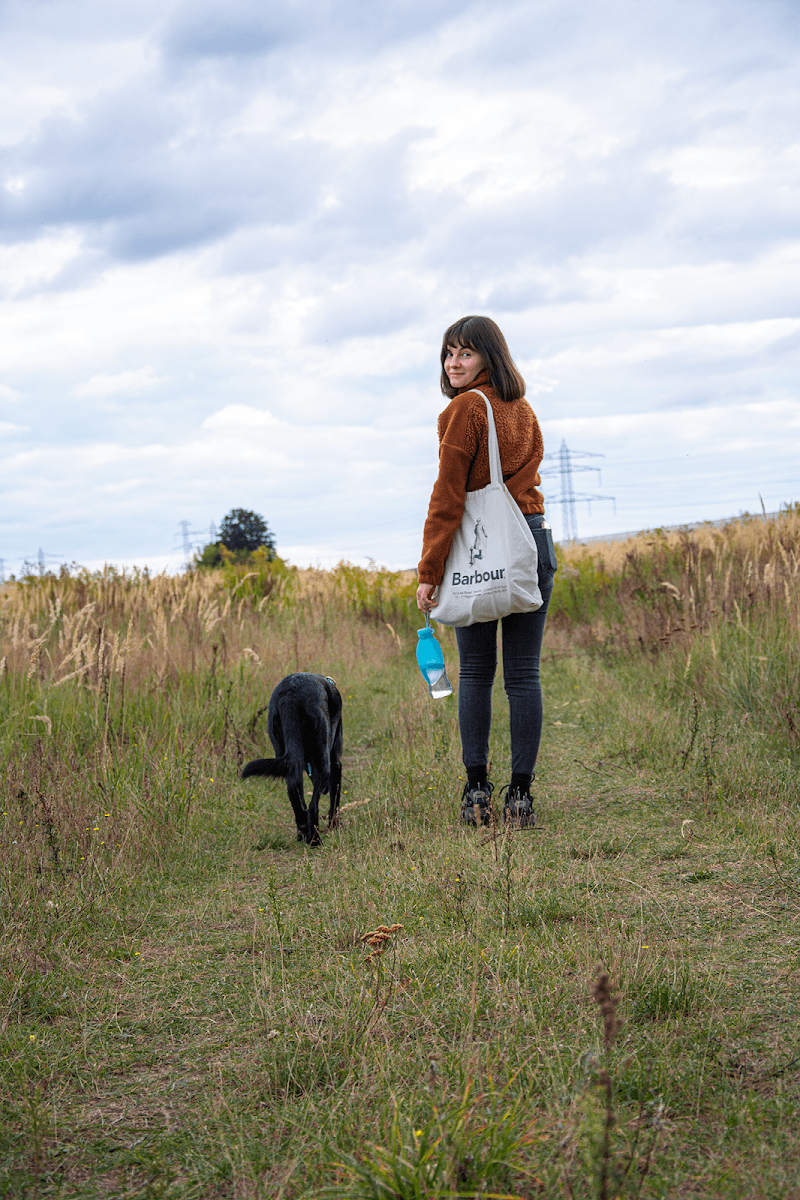 PsiRytm - behawiorysta psów i petsitter