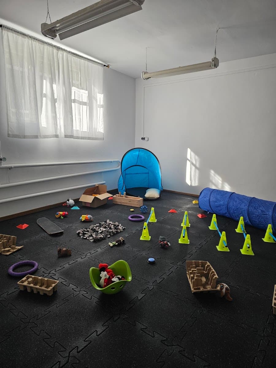 Psotkowo - Centrum Edukacji i Opieki Dziennej dla Psów