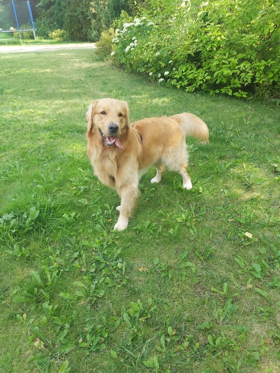 Pupilove Ranczo