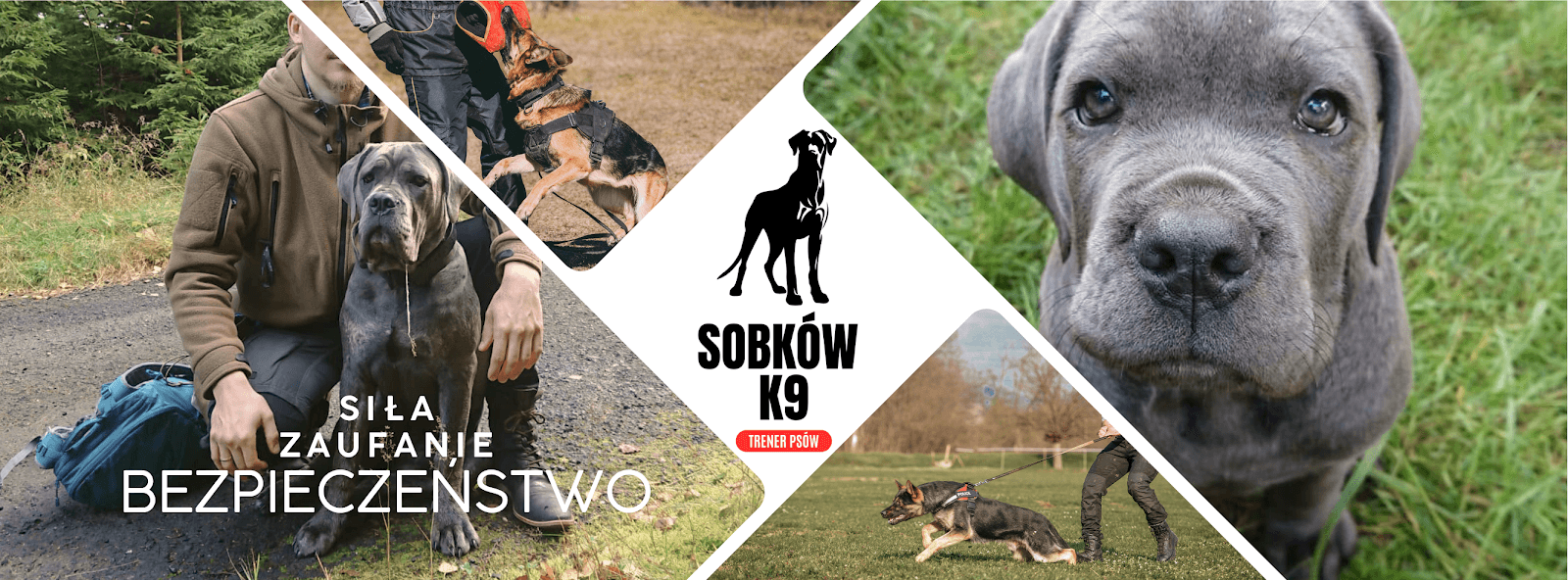 SOBKÓW K9 – Szkolenie i hotel dla psów Wrocław
