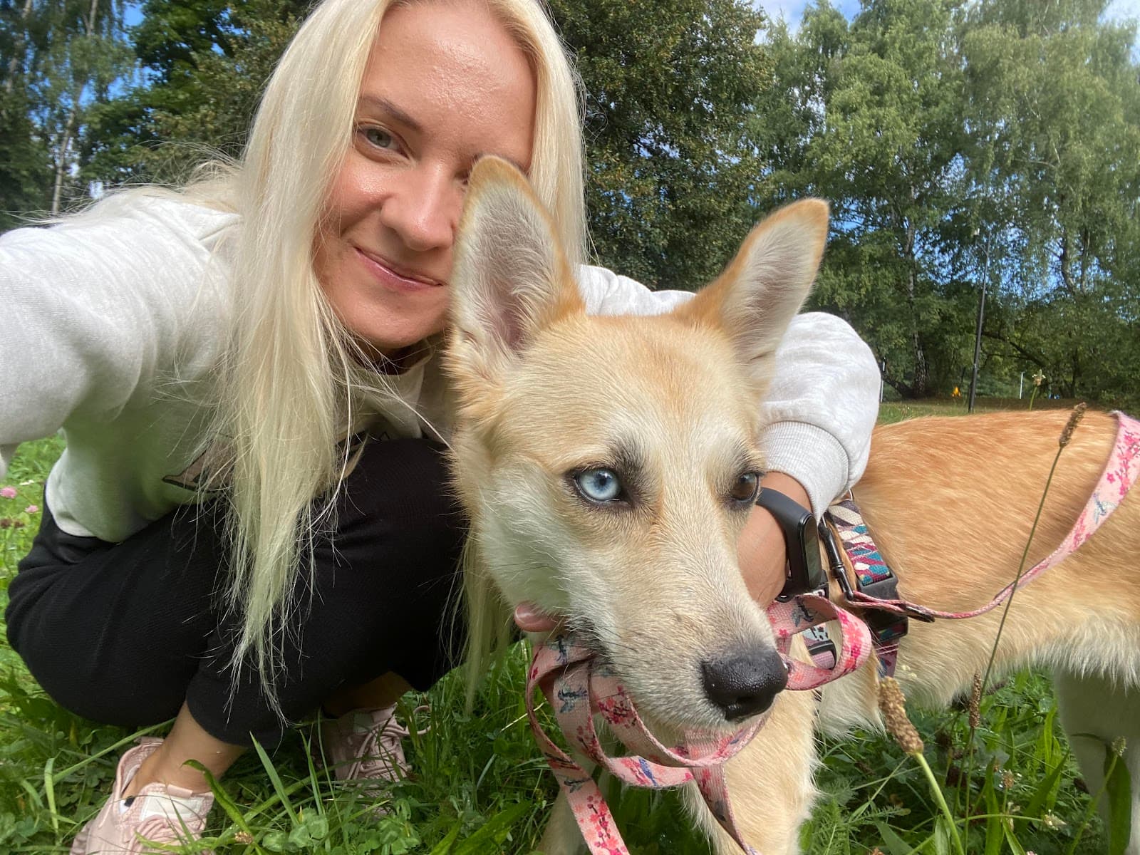 Twoja Psia Psi - Petsitter Katowice