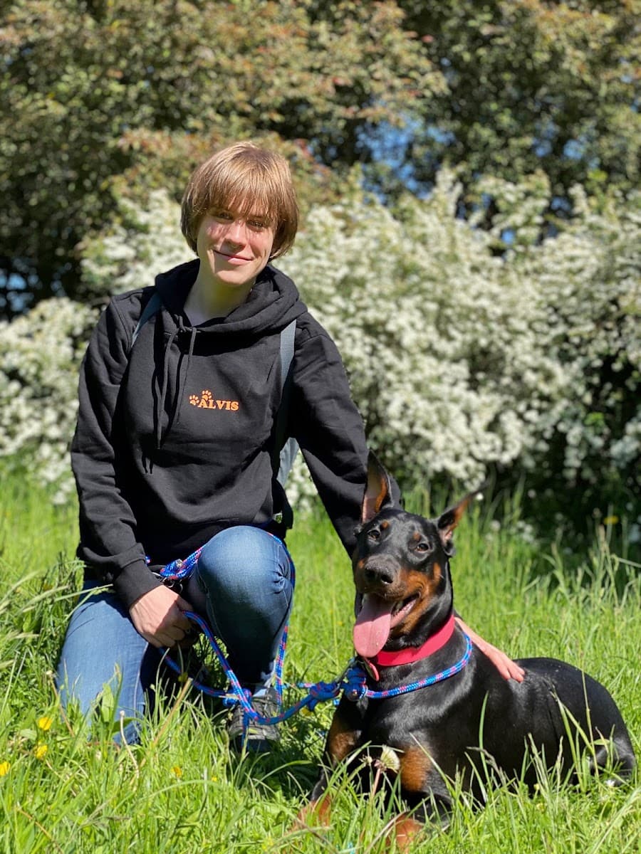 ALVIS - Opieka nad zwierzętami | Wyprowadzanie psów i petsitting w Sopocie