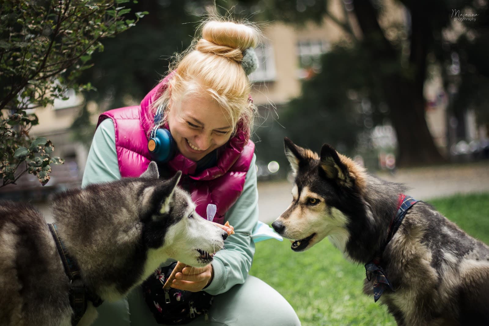 La Dolce Kita - Kaja Szymańska. Szkolenia, terapia behawioralna i hotel dla psów — zdjęcie z profilu Google