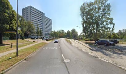 Szczęście ma cztery łapy • Angelika Przytuła • behawiorystka, trenerka i petsitterka psów — zdjęcie z profilu Google